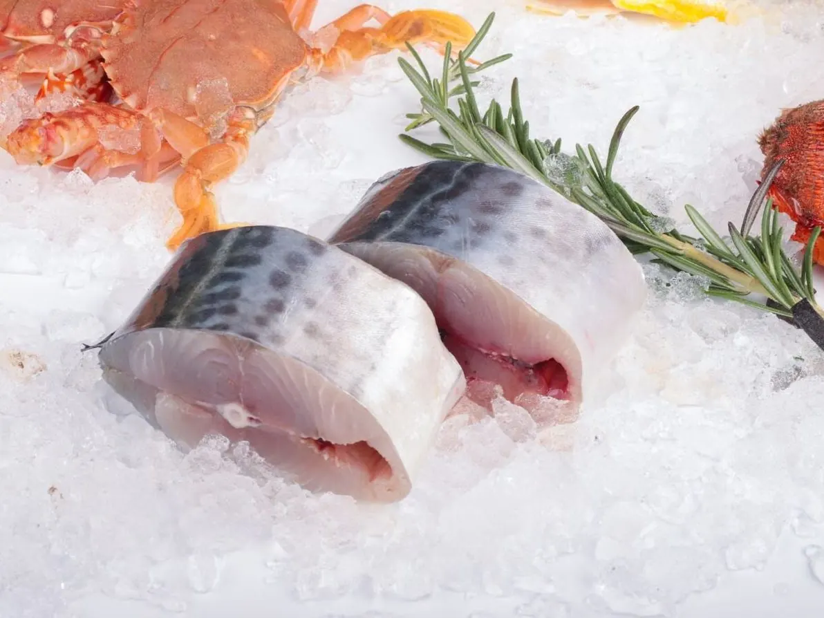Hải sản tươi trên đá lạnh — hình ảnh minh họa